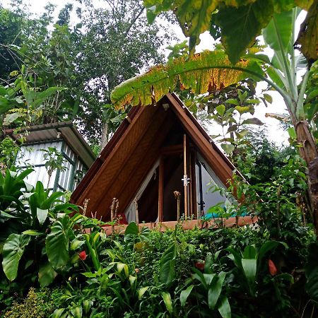 Eco Bedugul Adventurer Camp B&B 외부 사진