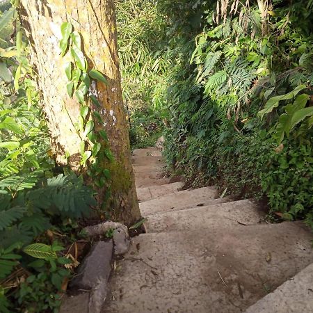 Eco Bedugul Adventurer Camp B&B 외부 사진