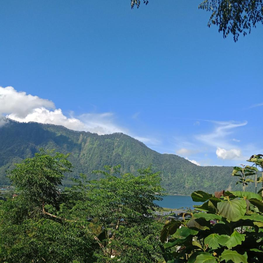 Eco Bedugul Adventurer Camp B&B 외부 사진