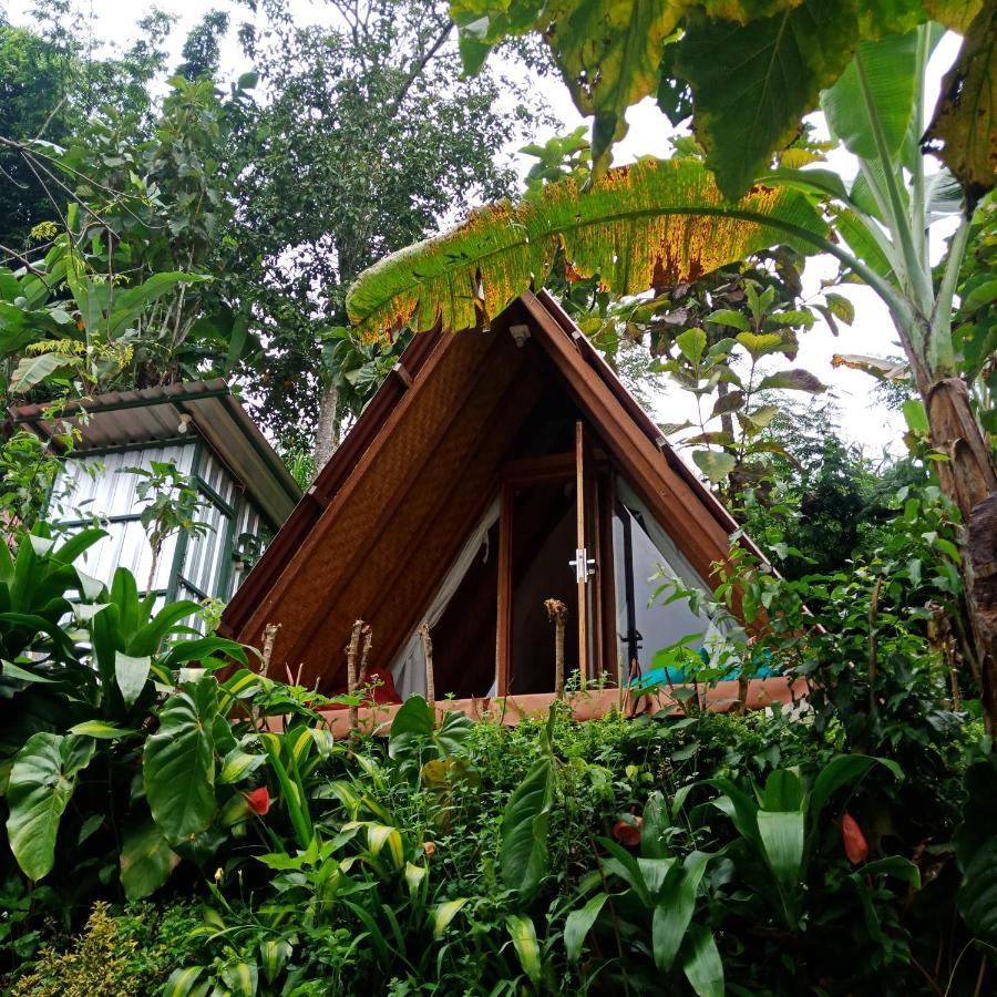 Eco Bedugul Adventurer Camp B&B 외부 사진
