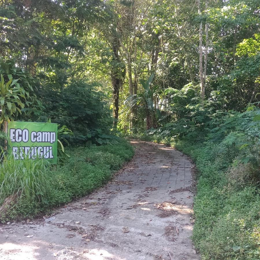 Eco Bedugul Adventurer Camp B&B 외부 사진