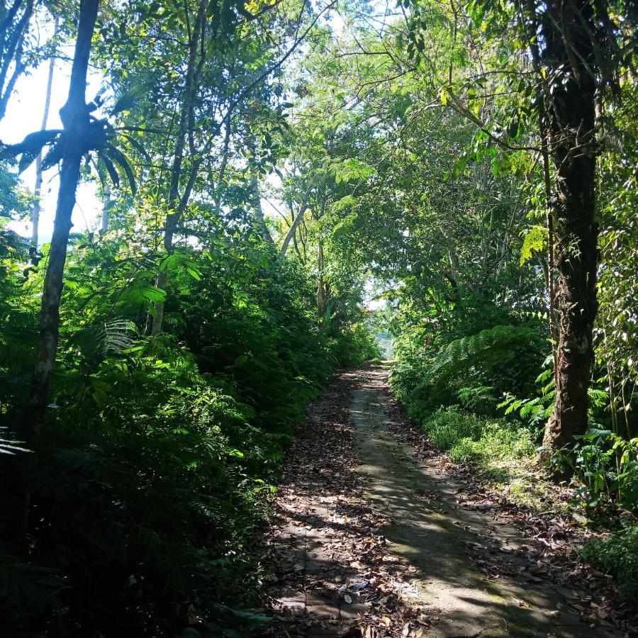 Eco Bedugul Adventurer Camp B&B 외부 사진