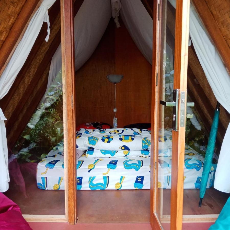 Eco Bedugul Adventurer Camp B&B 외부 사진