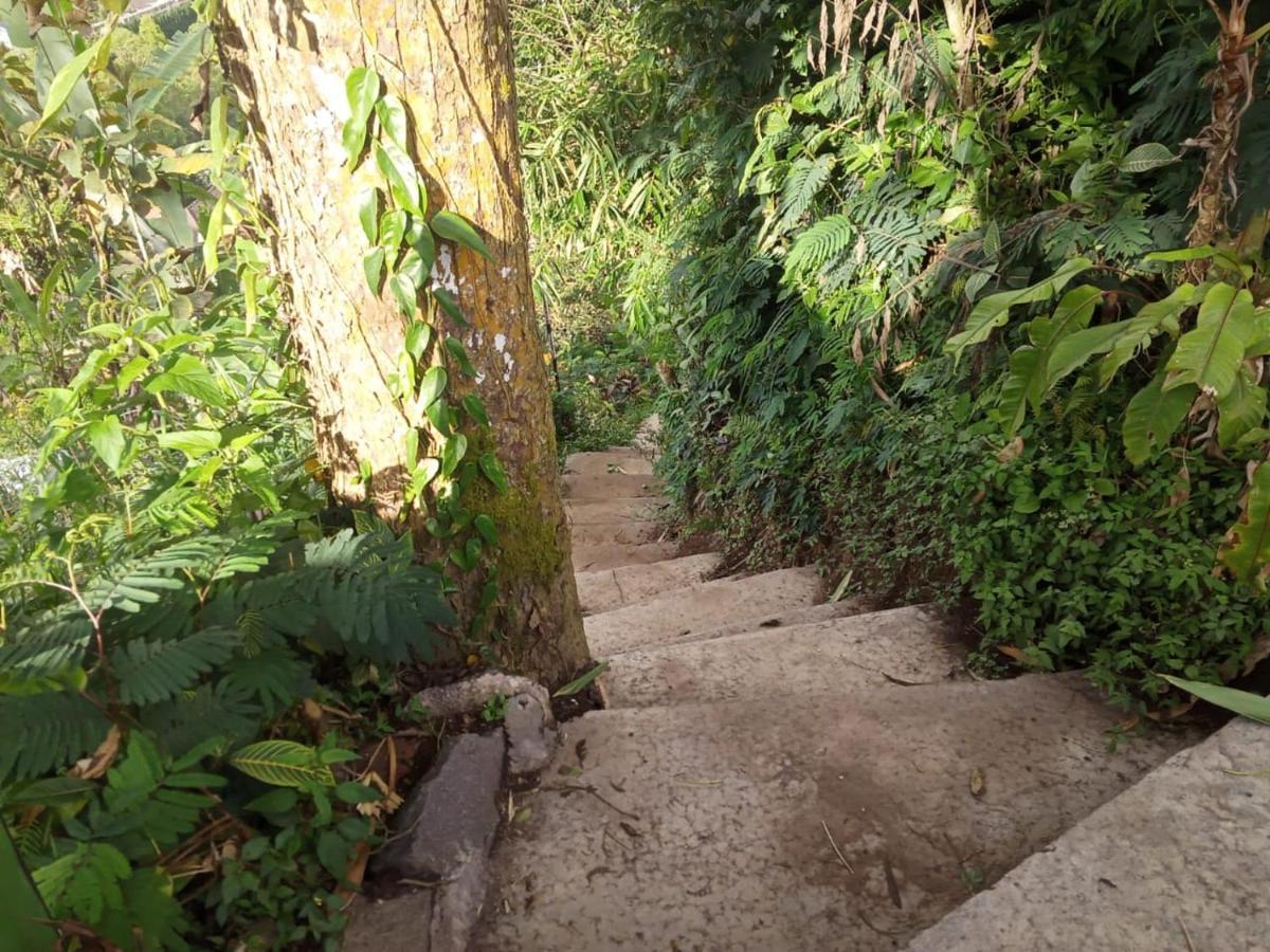Eco Bedugul Adventurer Camp B&B 외부 사진