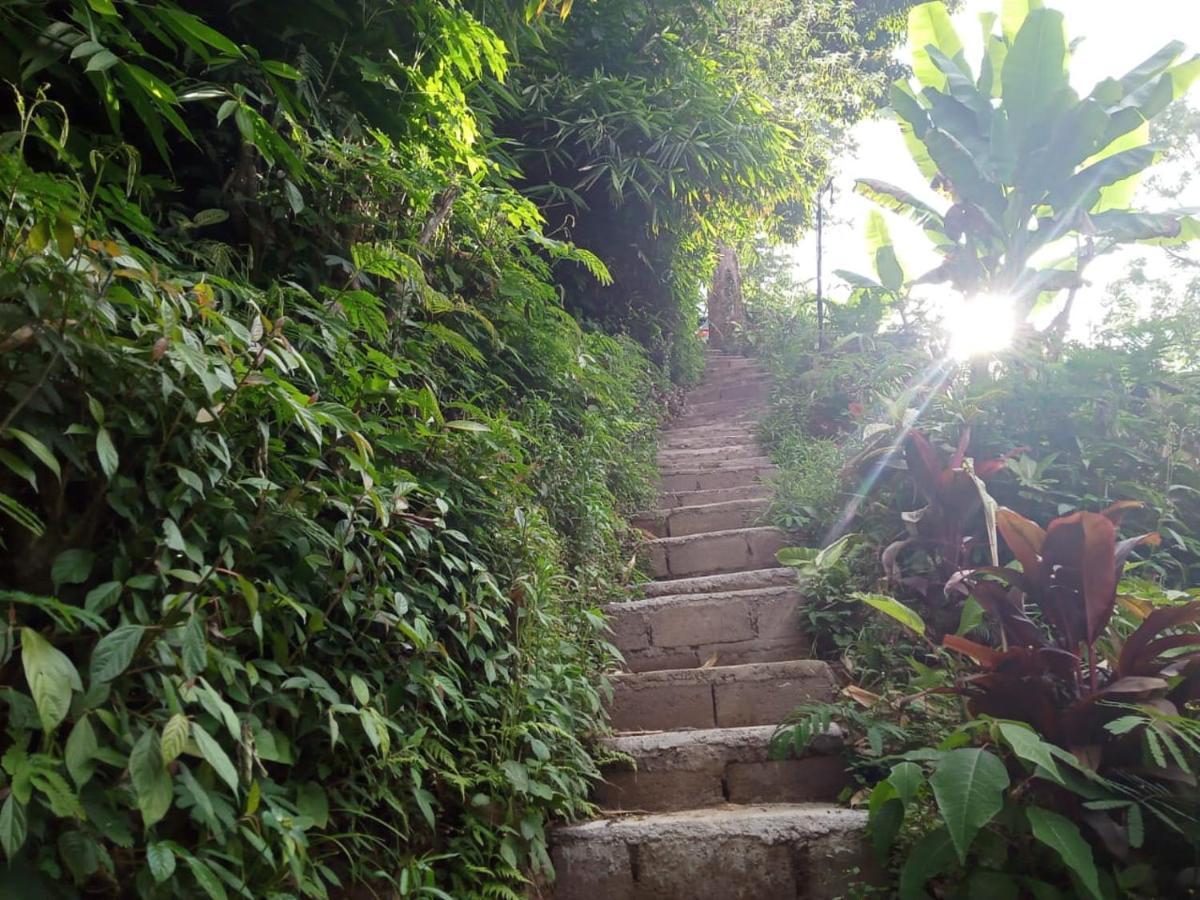 Eco Bedugul Adventurer Camp B&B 외부 사진